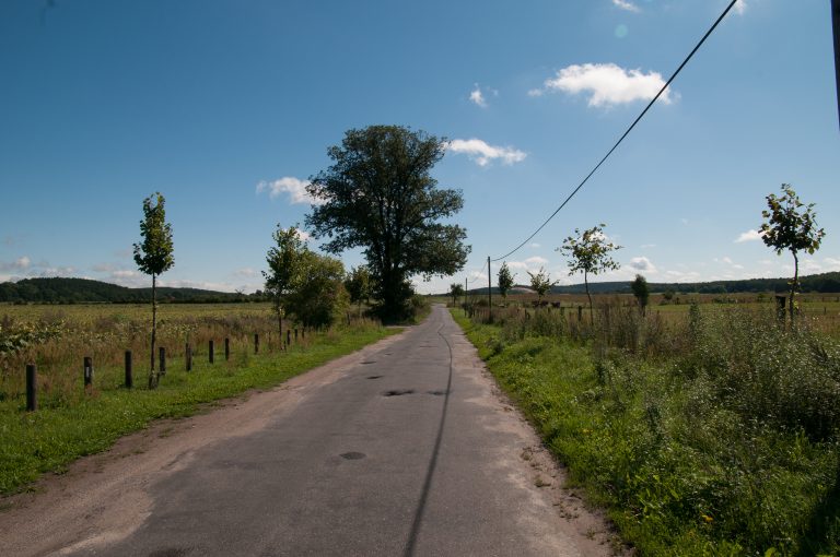 Land: Kommunen und Digitalisierung – E-Government